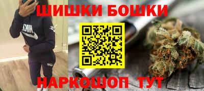 сатива Кимры